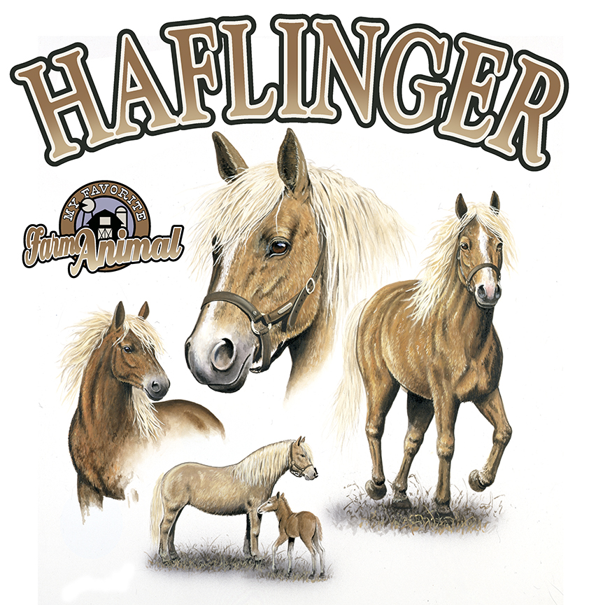 ABH – 6Words, Haflinger Horses 06322 © Art Brands Holdings, LLC