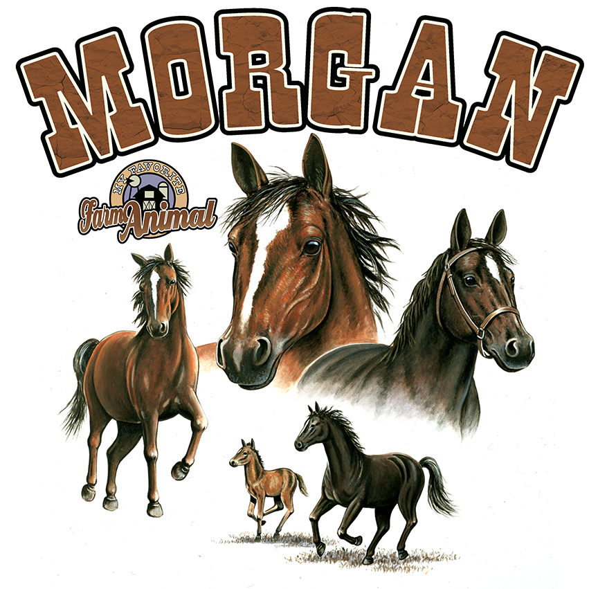 ABH – 6Words, Horses, Morgan 06182 © Art Brands Holdings, LLC