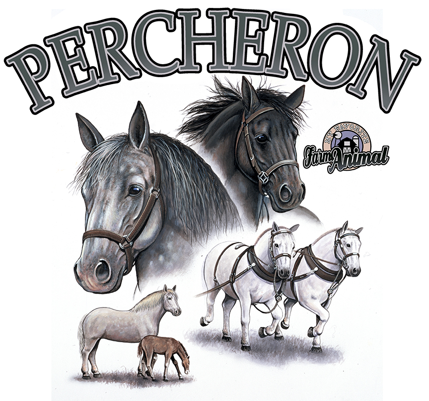 ABH – 6Words, Horses, Percheron 06187 © Art Brands Holdings, LLC