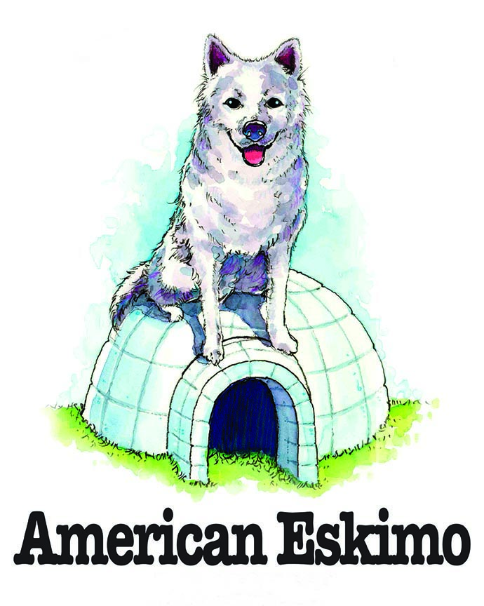 ABH – 3Funny Friends American Eskimo 09113 © Art Brands Holdings, LLC.