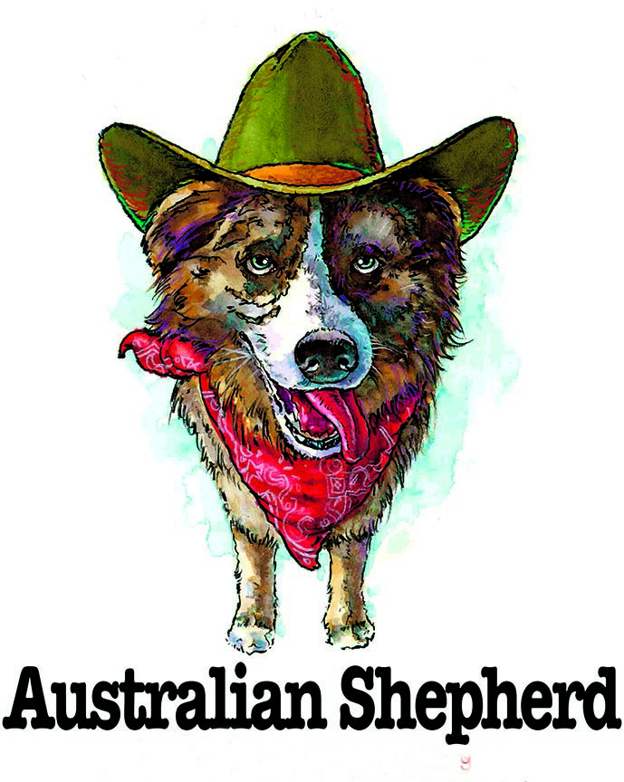 ABH – 3Funny Friends Australian Shepherd 09114 © Art Brands Holdings, LLC.