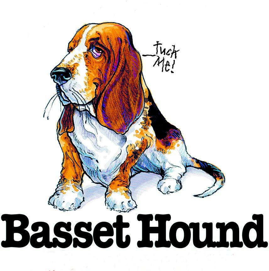 ABH – 3Funny Friends Basset Hound 06455 © Art Brands Holdings, LLC.