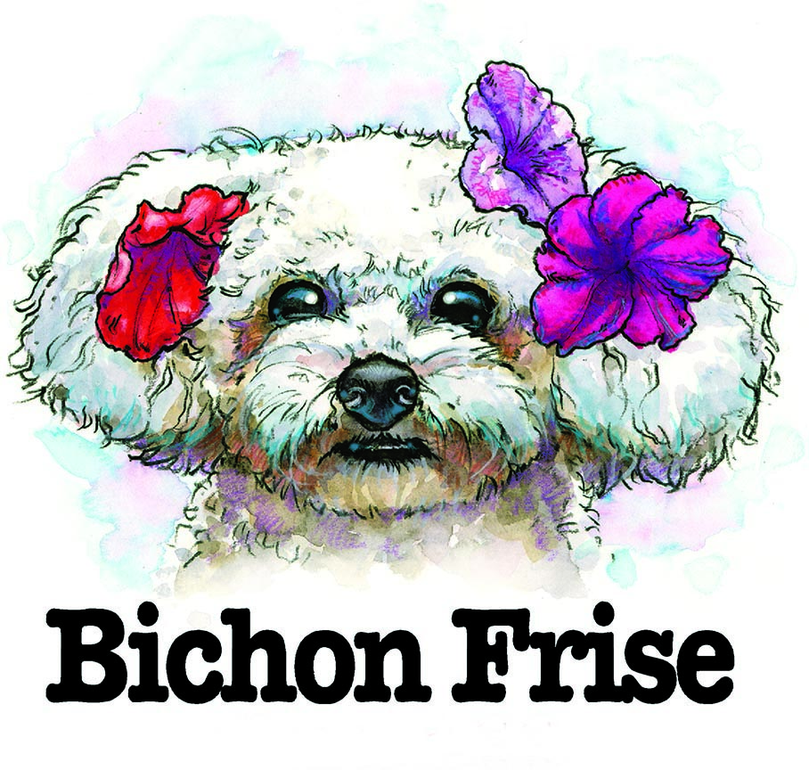 ABH – 3Funny Friends Bichon Frise 09116 © Art Brands Holdings, LLC.