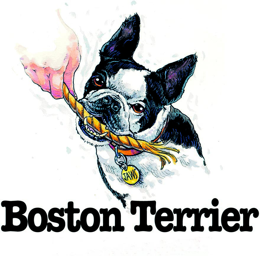 ABH – 3Funny Friends Boston Terrier 06462 © Art Brands Holdings, LLC.