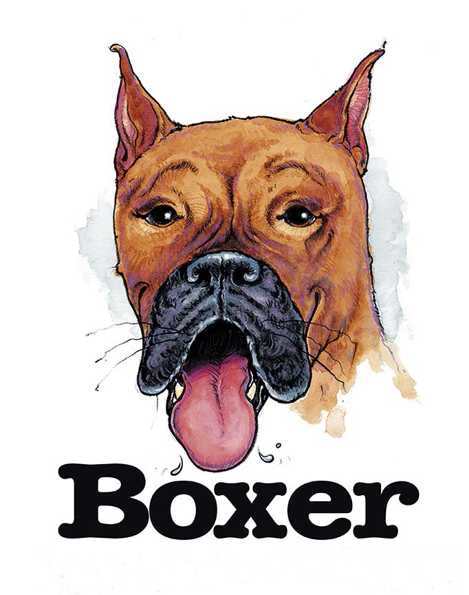 ABH – 3Funny Friends Boxer 06447 © Art Brands Holdings, LLC.