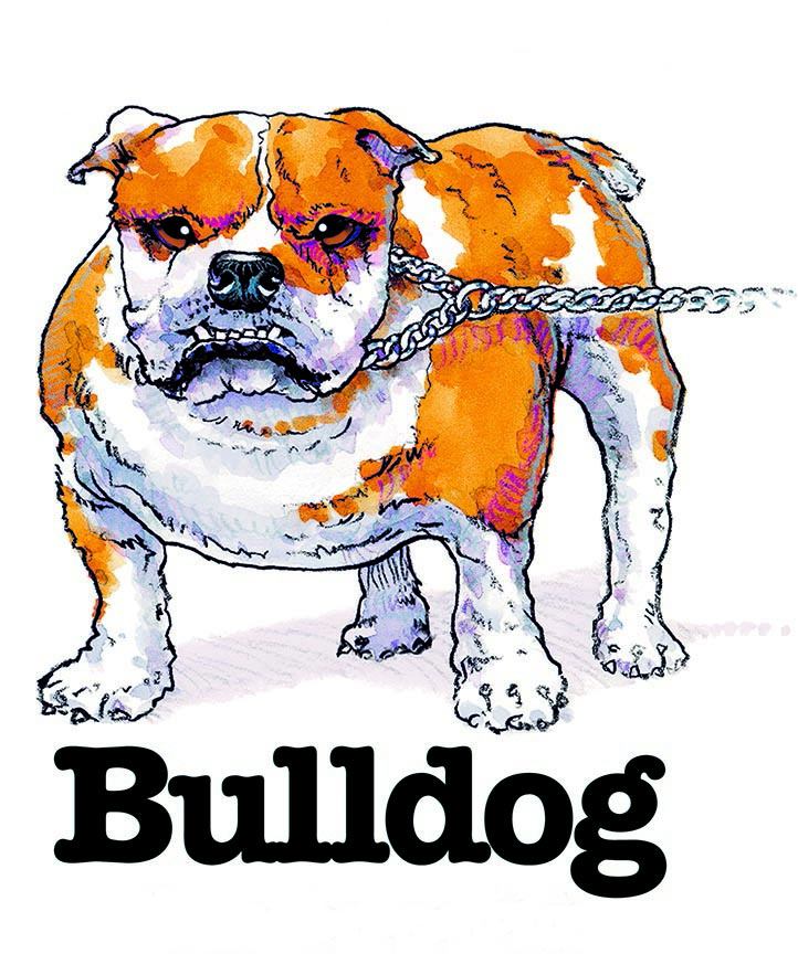 ABH – 3Funny Friends Bulldog 06461 © Art Brands Holdings, LLC.