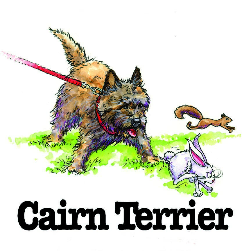 ABH – 3Funny Friends Cairn Terrier 09117 © Art Brands Holdings, LLC.