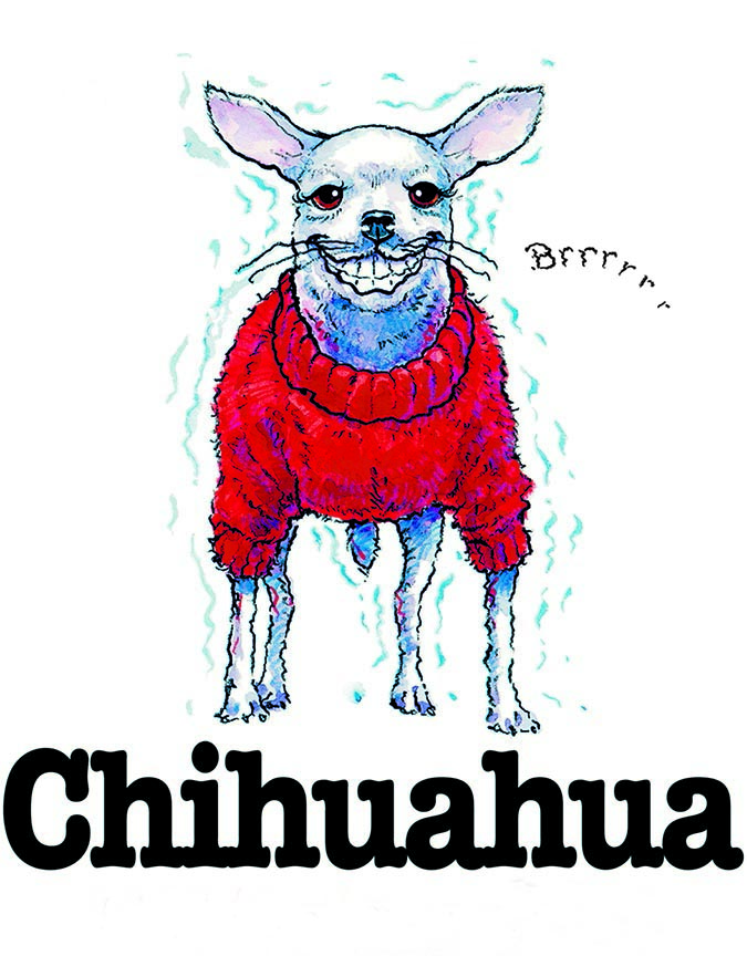 ABH – 3Funny Friends Chihuahua 06452_lith © Art Brands Holdings, LLC.