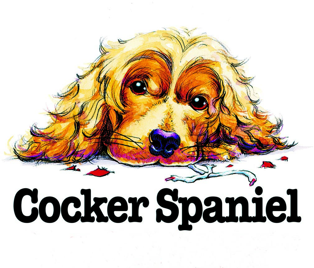 ABH – 3Funny Friends Cocker Spaniel 06446 © Art Brands Holdings, LLC.