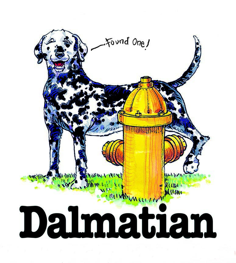 ABH – 3Funny Friends Dalmatian 06451_lith