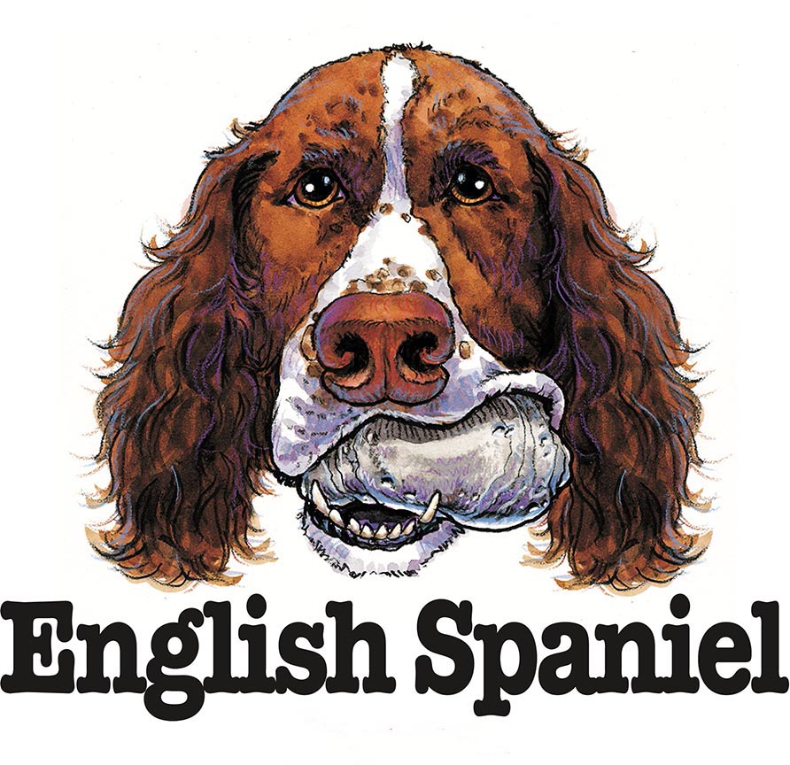 ABH – 3Funny Friends English Spaniel 08483 © Art Brands Holdings, LLC.