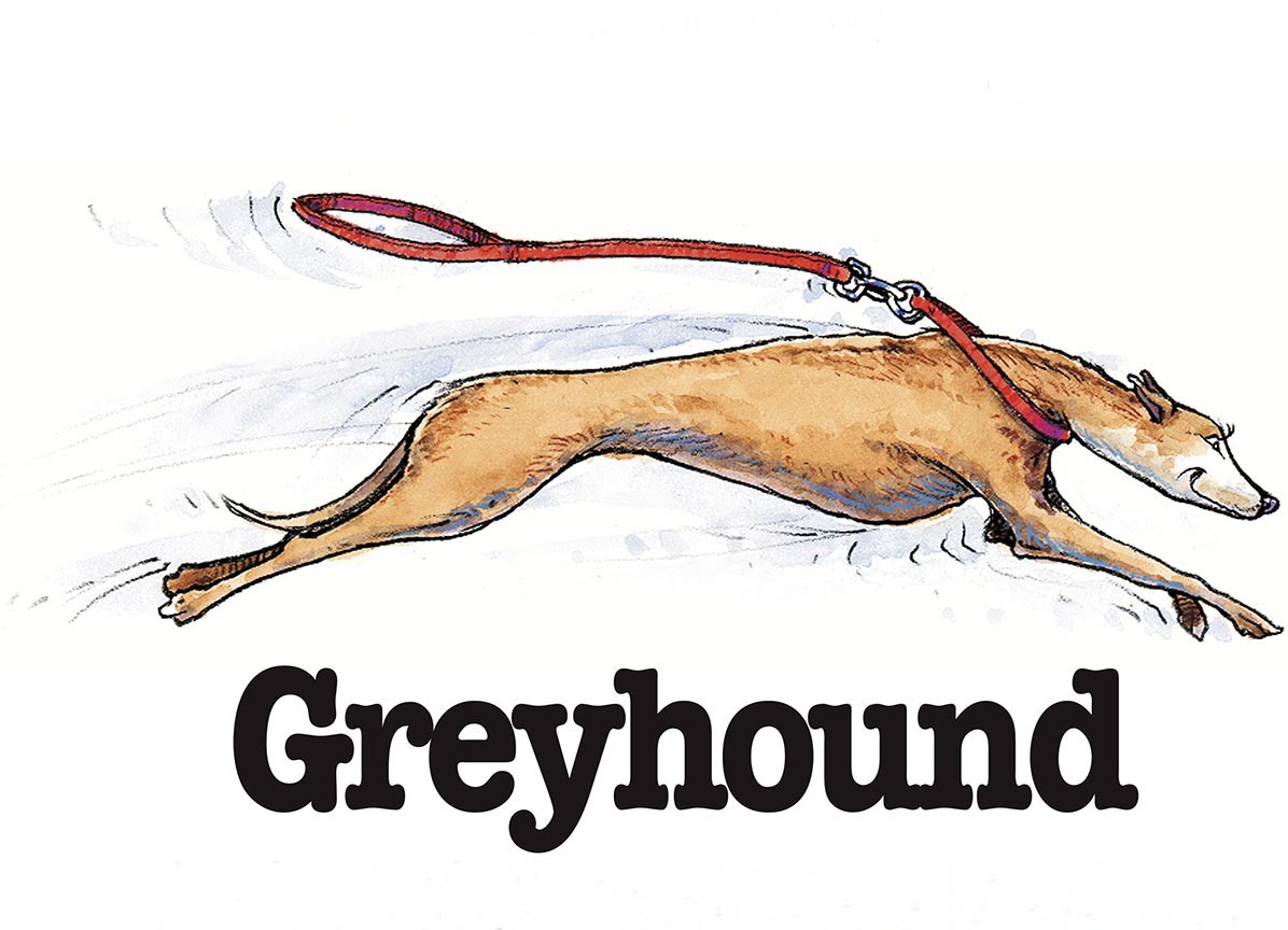 ABH – 3Funny Friends Greyhound 08474 © Art Brands Holdings, LLC.
