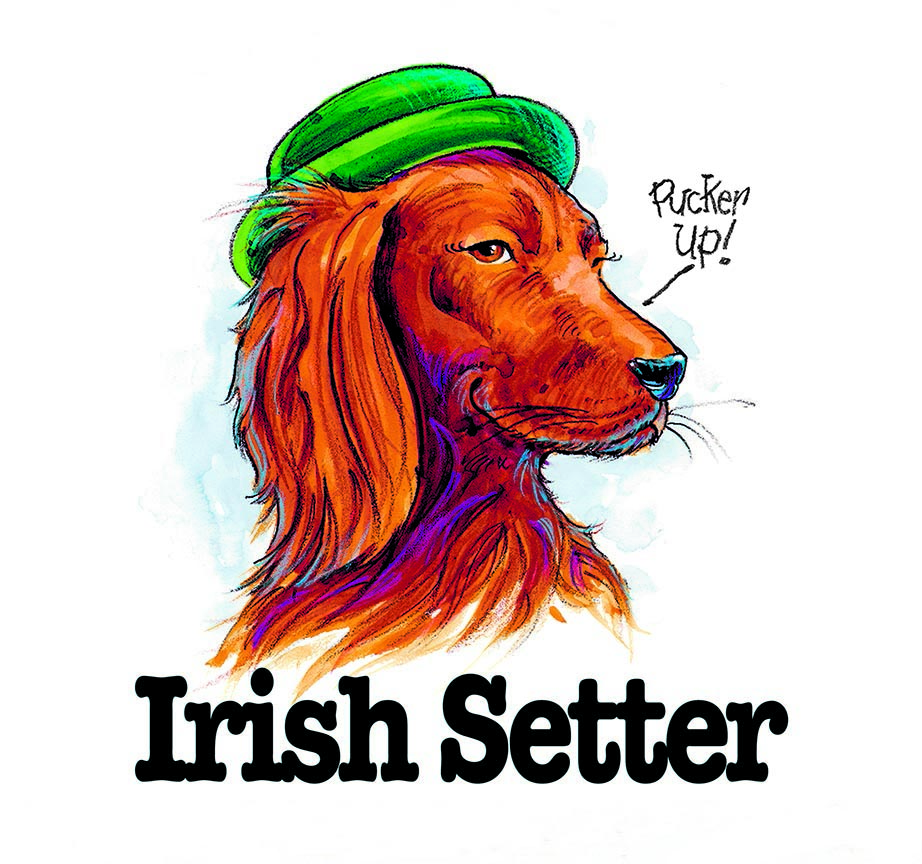 ABH – 3Funny Friends Irish Setter 08475 © Art Brands Holdings, LLC.