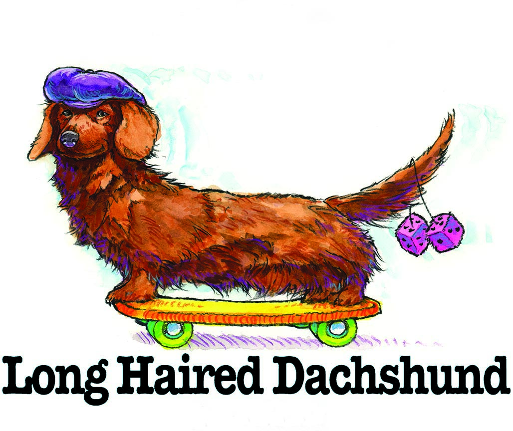 ABH – 3Funny Friends Long Haired Dachshund 09121 © Art Brands Holdings, LLC.