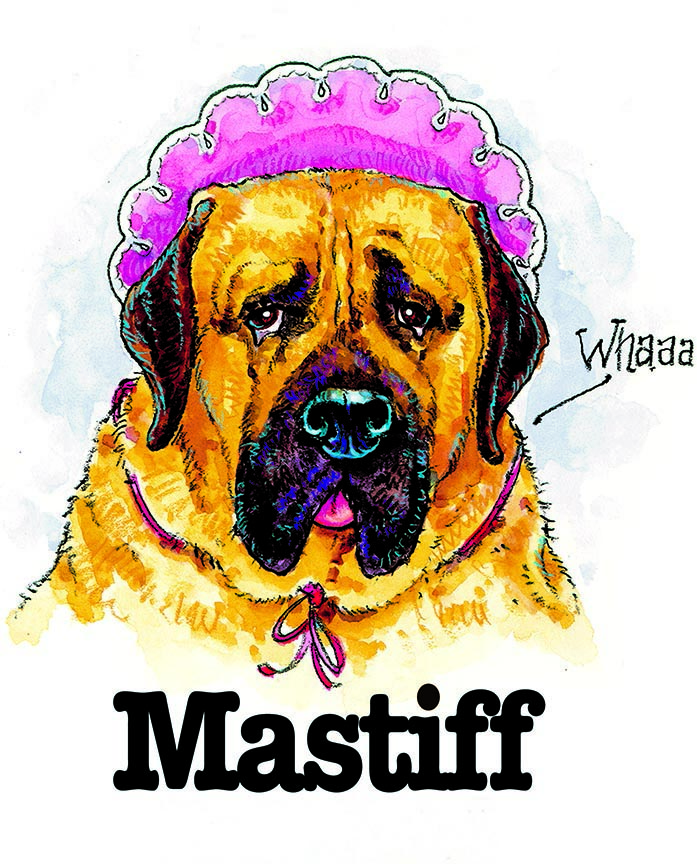 ABH – 3Funny Friends Mastif 08481 © Art Brands Holdings, LLC.