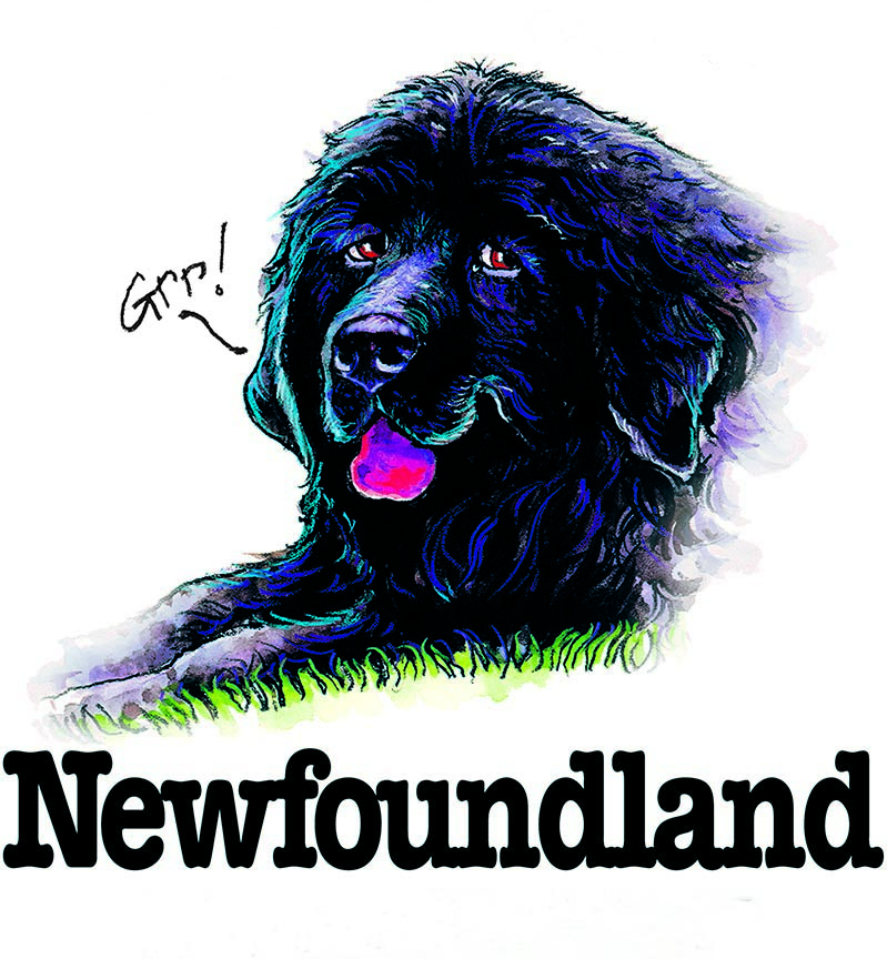 ABH – 3Funny Friends Newfoundland 08477 © Art Brands Holdings, LLC.