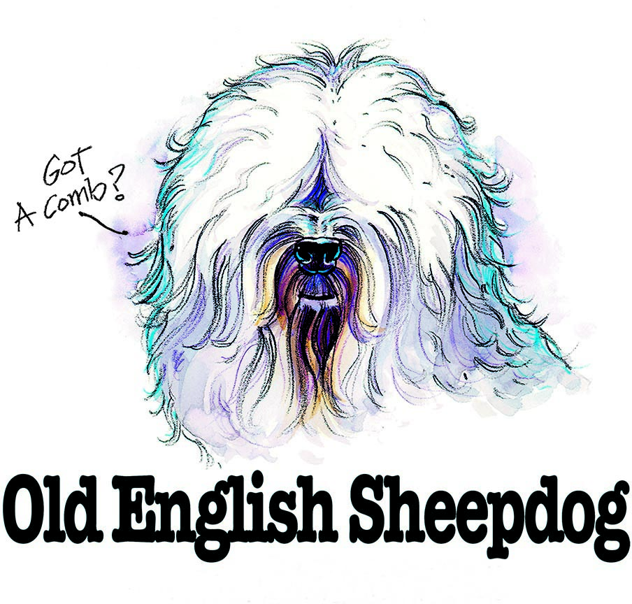 ABH – 3Funny Friends Old English Sheepdog 08478 © Art Brands Holdings, LLC.