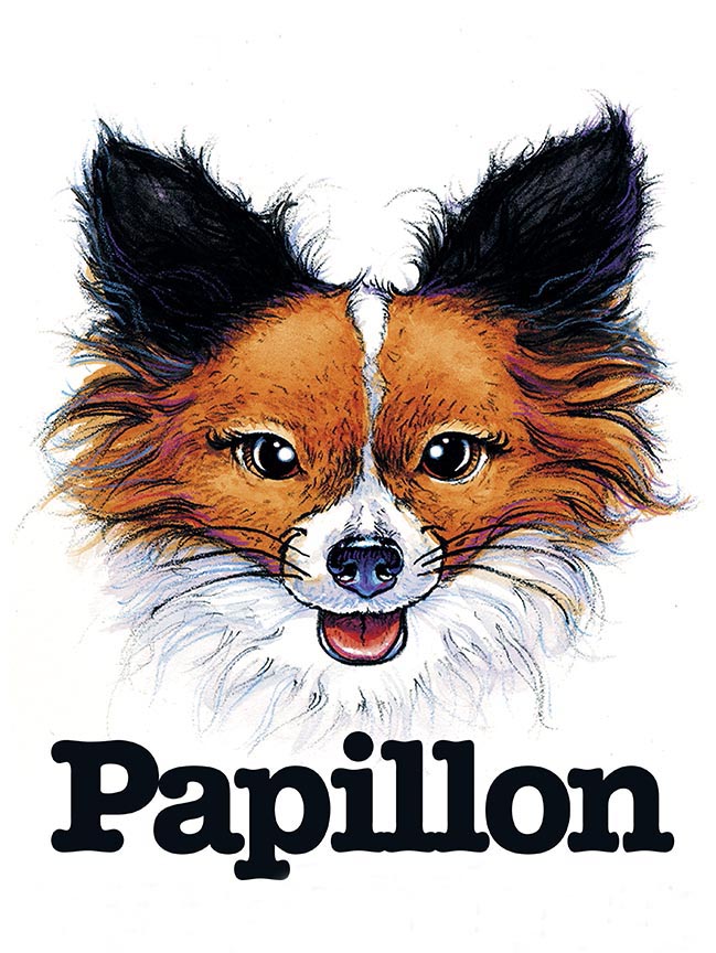 ABH – 3Funny Friends Papillon 06456 © Art Brands Holdings, LLC.