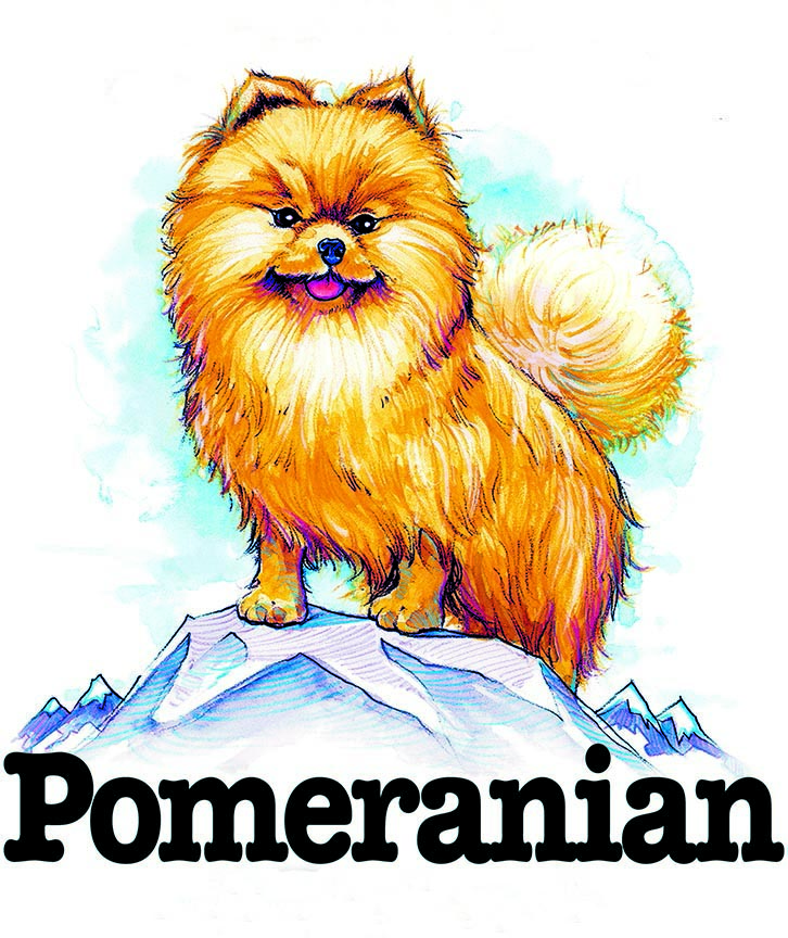 ABH – 3Funny Friends Pomeranian 06442 © Art Brands Holdings, LLC.
