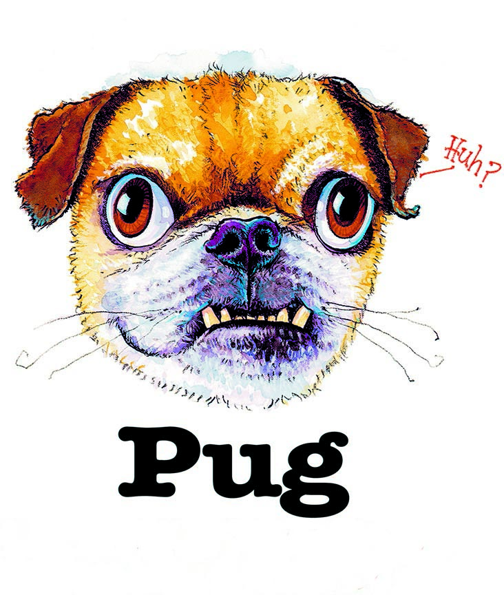 ABH – 3Funny Friends Pug 08470 © Art Brands Holdings, LLC.