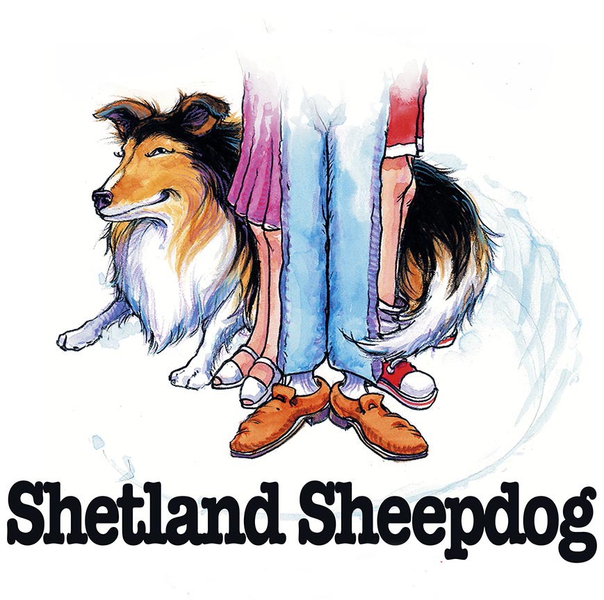 ABH – 3Funny Friends Shetland Sheepdog 06440 © Art Brands Holdings, LLC.