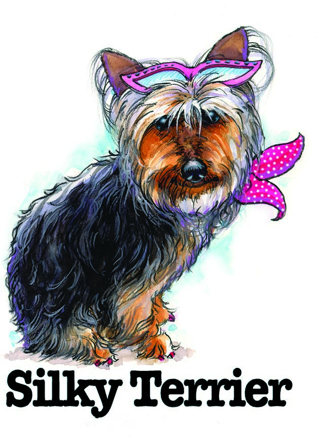 ABH – 3Funny Friends Silky Terrier 09123 © Art Brands Holdings, LLC.