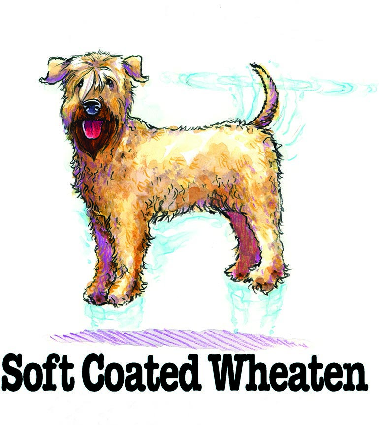 ABH – 3Funny Friends Soft Coated Wheaten 09124 © Art Brands Holdings, LLC.