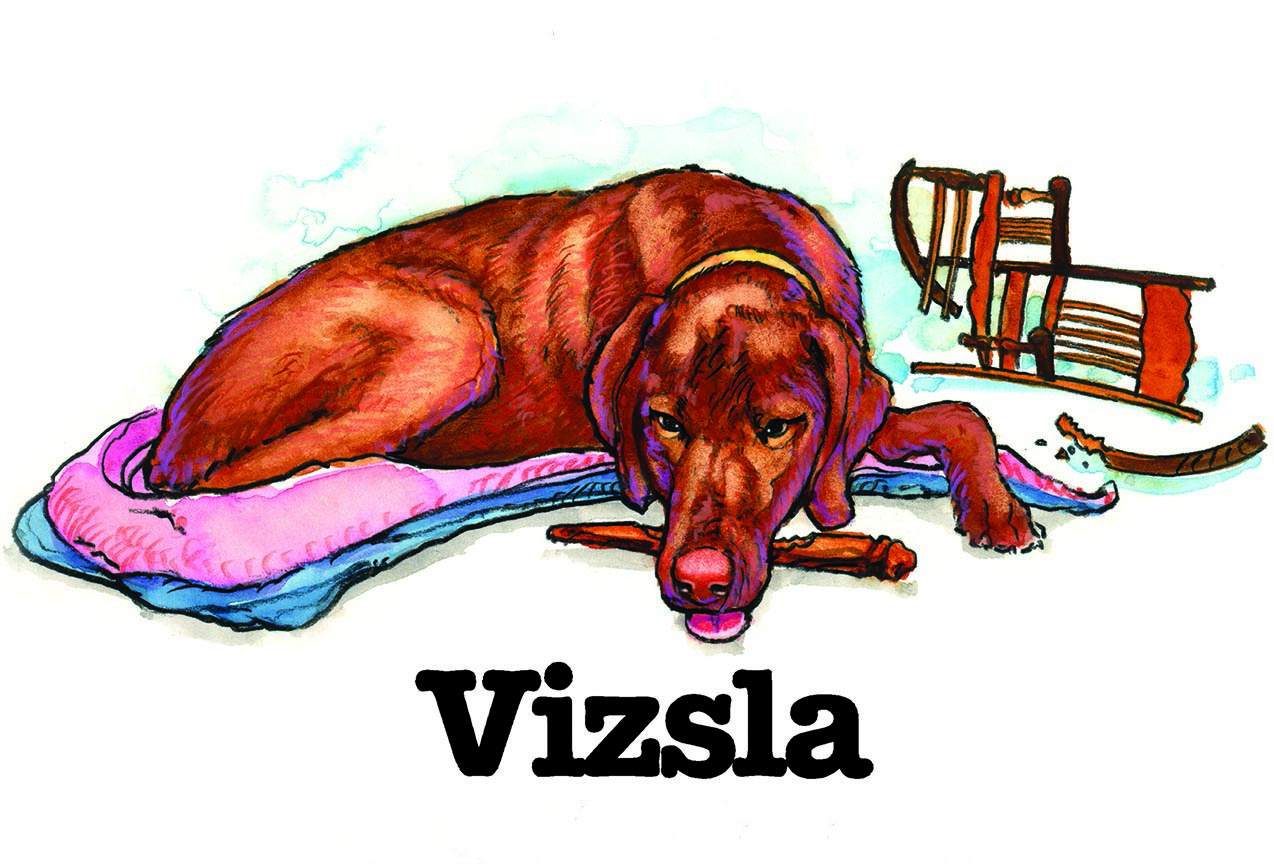 ABH – 3Funny Friends Vizsla 09125 © Art Brands Holdings, LLC.