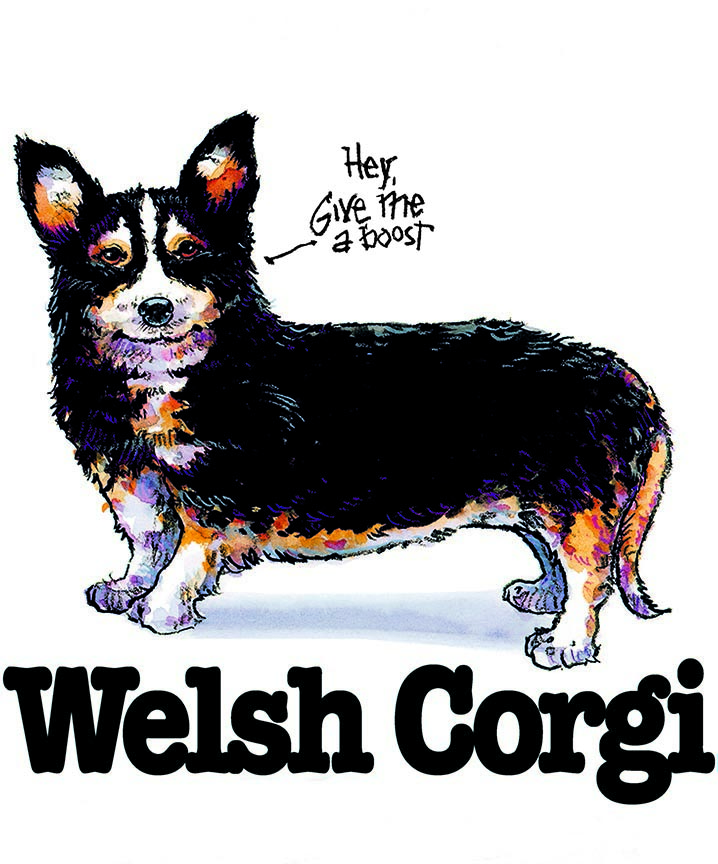 ABH – 3Funny Friends Welsh Corgi 06459 © Art Brands Holdings, LLC.