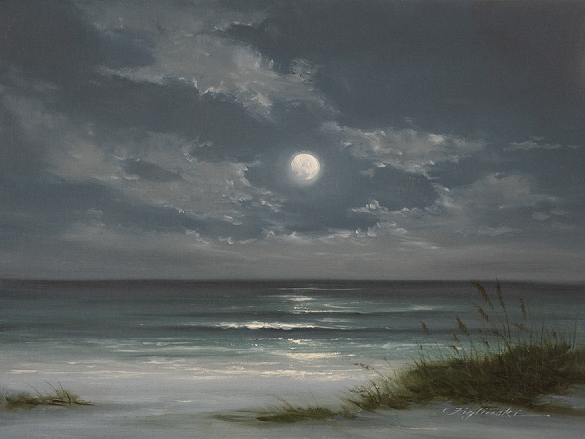 MF – Moonlight on the Gulf 23047 © Martin Figlinski