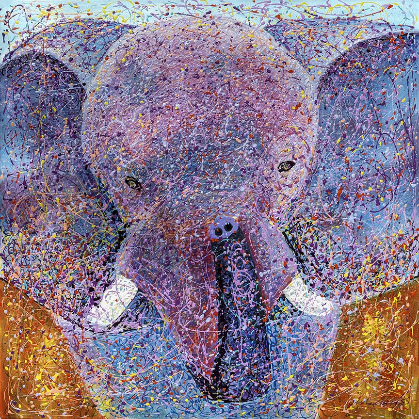 HM2 – 1Pop – Elephant © Hulis Mavruk