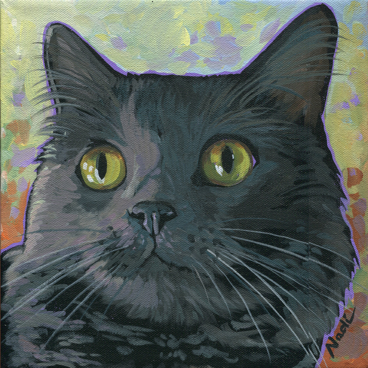 NS – Cat – 15-106 Gray Cat 10×10 © Nadi Spencer