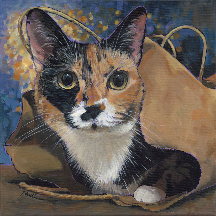 NS – Cat – 22-144 Calic Cat 16×16 © Nadi Spencer