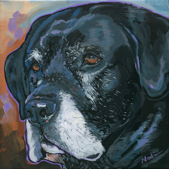 NS – Dogs – 14-191 Lucy 10×10 © Nadi Spencer