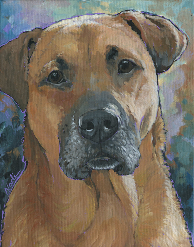 NS – Dogs – 19-113 Zion 14×11 © Nadi Spencer