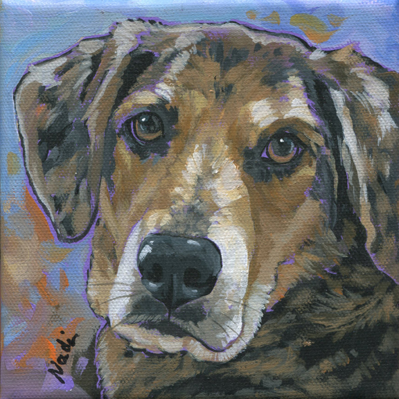 NS – Dogs – 19-302 Ryleigh 8×8 © Nadi Spencer