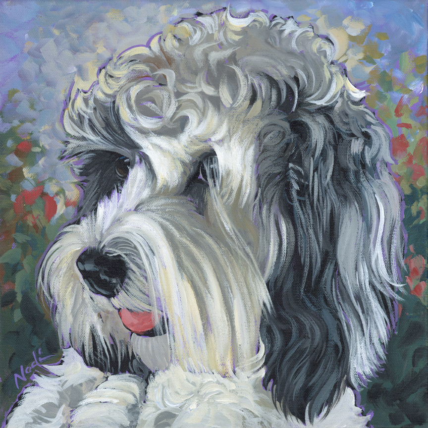 NS – Dogs – 22-66 Paige 12×12 © Nadi Spencer