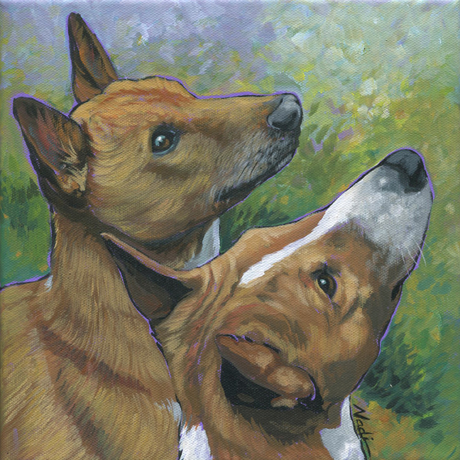 NS – Dogs, Basenji – 21-141 Jesyter and Bernie 10 © Nadi Spencer