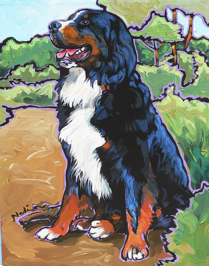 NS – Dogs, Bernese Mountain Dog – 13-64 Oliver 14×11 © Nadi Spencer