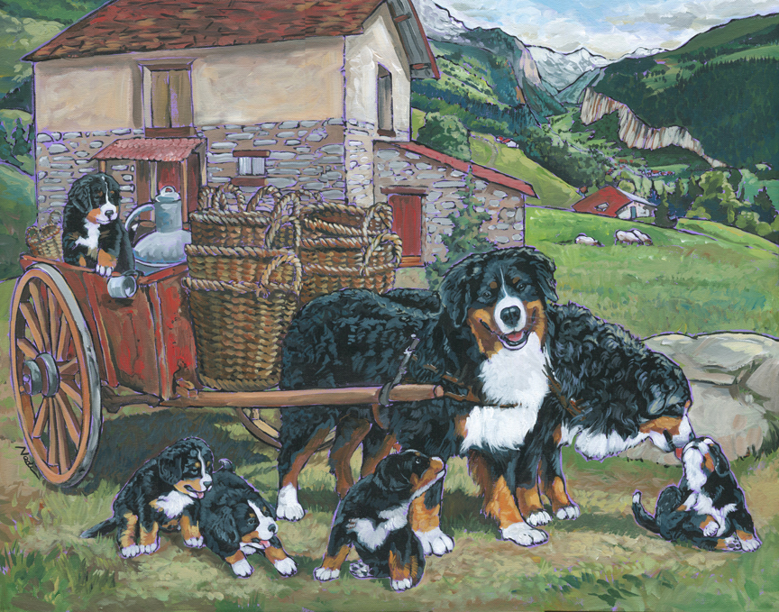 NS – Dogs, Bernese Mountain Dog, History of Dogs – 17-76 Bernese Mountain Dog 22×28 © Nadi Spencer