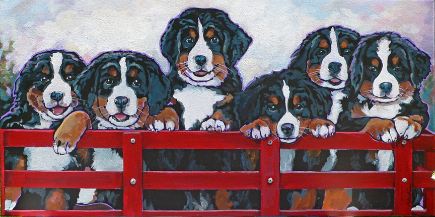 NS – Dogs, Bernese Mountain Dog Puppies – 15-102 Berner Puppies 7×15 © Nadi Spencer