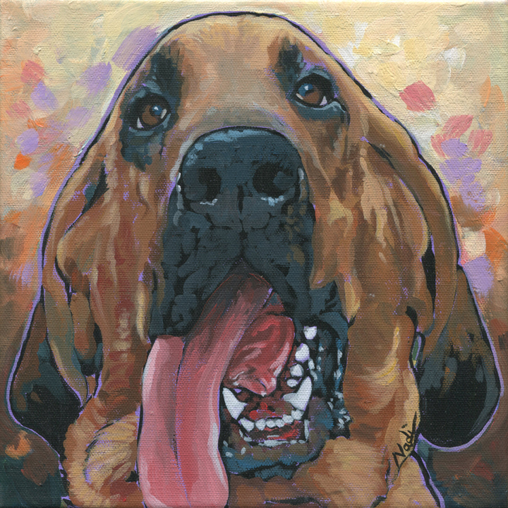 NS – Dogs, Bloodhound – 17-84 Dreyfus 10 © Nadi Spencer