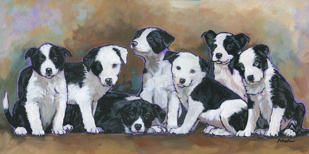 NS – Dogs, Border Collie Puppies – 15-137 Border Collie Pups 15×30 © Nadi Spencer