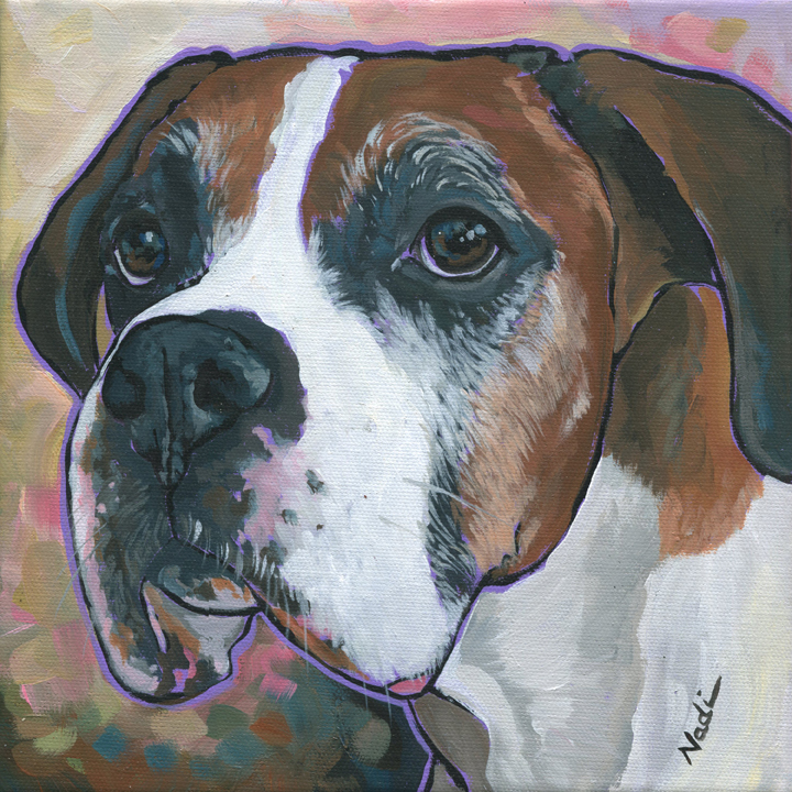NS – Dogs, Boxer – 16-4 Mikey 10×10 © Nadi Spencer