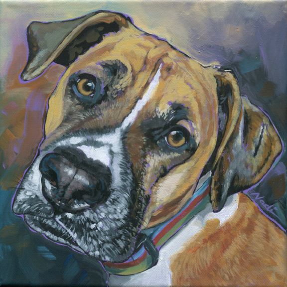 NS – Dogs, Boxer – 19-355 Wendy 8×8 © Nadi Spencer