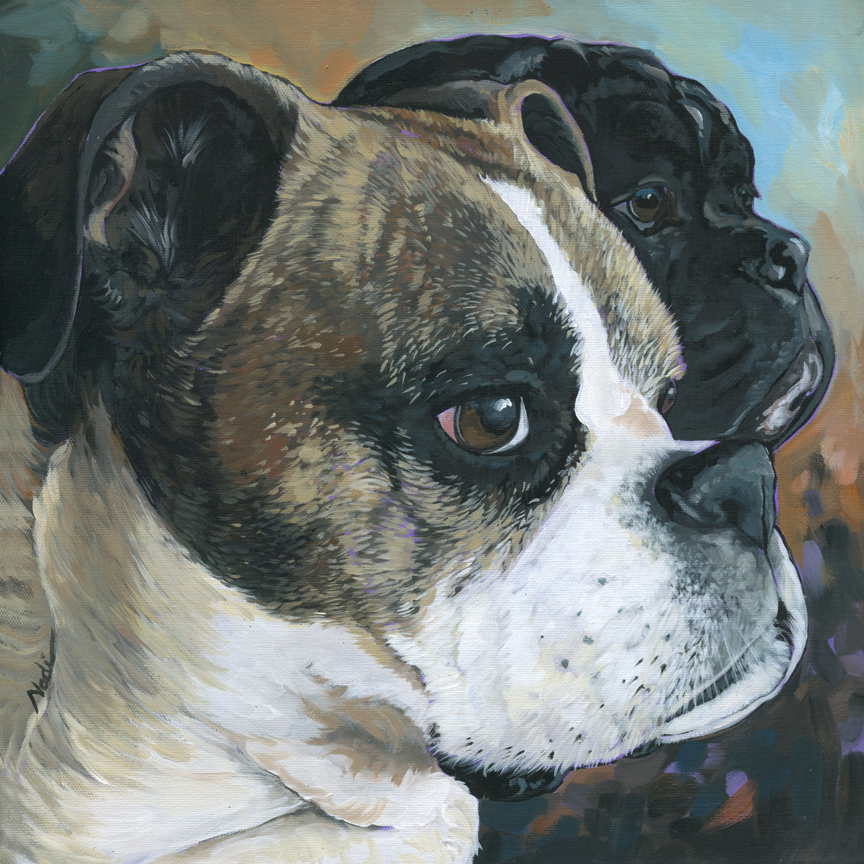 NS – Dogs, Boxer – 20-63 Boxers 14×14 © Nadi Spencer