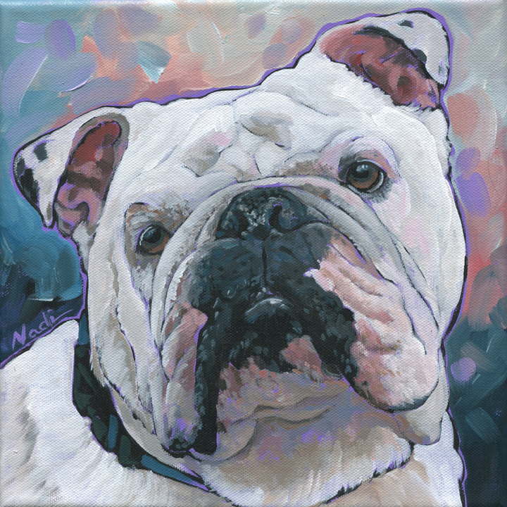 NS – Dogs, Bulldog – 18-198 Dallas 10×10 © Nadi Spencer