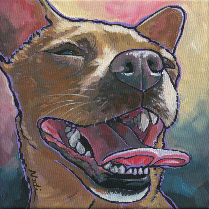 NS – Dogs, Chihuaha, Toy – 15-127 Stella 10×10 © Nadi Spencer