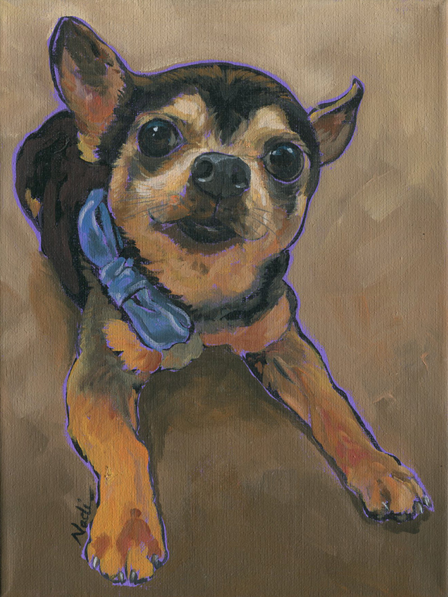 NS – Dogs, Chihuahua, Toy – 20-25 Maxwell 12×9 © Nadi Spencer