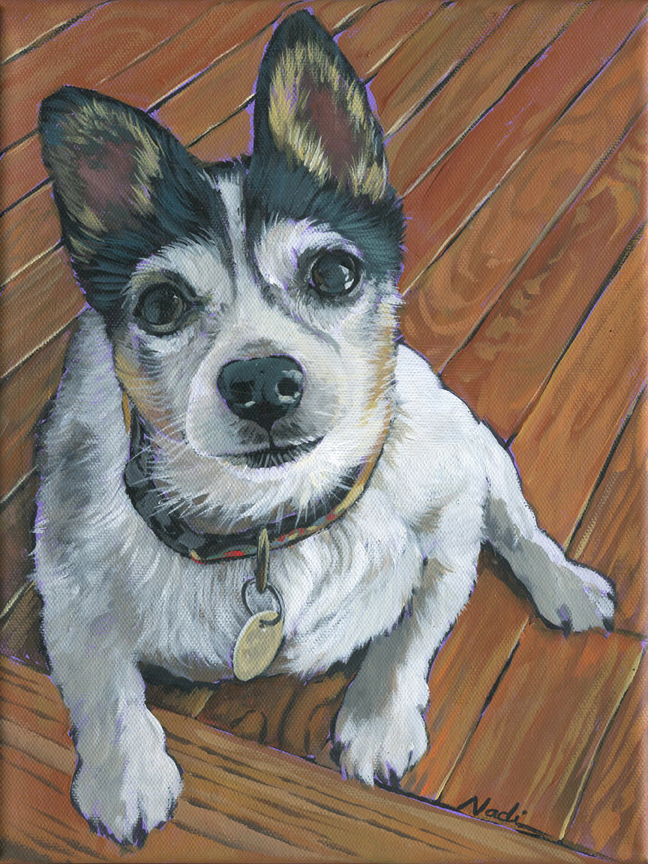 NS – Dogs, Chihuahua, Toy – 21-126 Lola 12×9 © Nadi Spencer